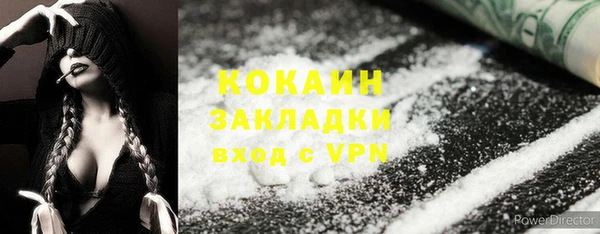ГАЛЛЮЦИНОГЕННЫЕ ГРИБЫ Алзамай