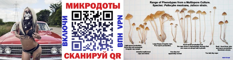Купить где  Семикаракорск  Галлюциногенные грибы GOLDEN TEACHER 